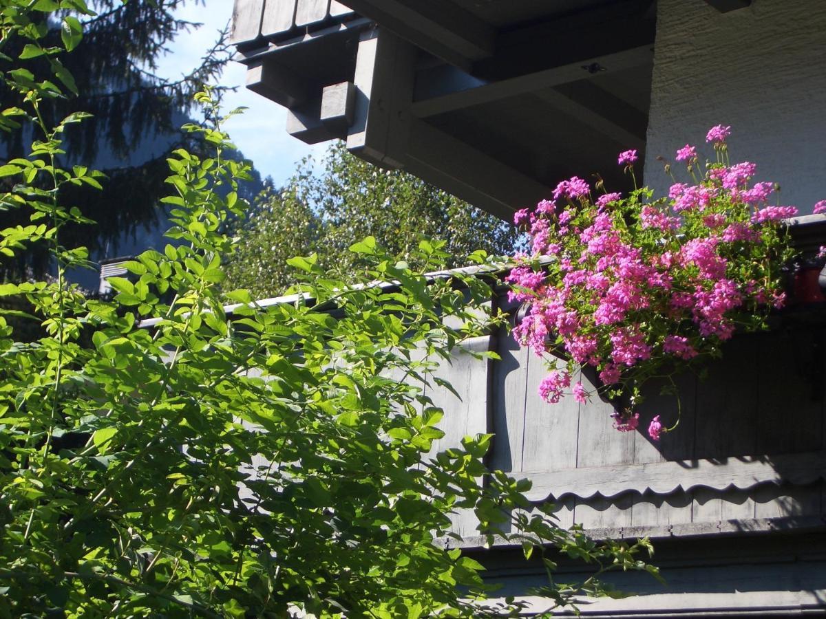 Ferienwohnung Meckyheim Mayrhofen Exterior foto